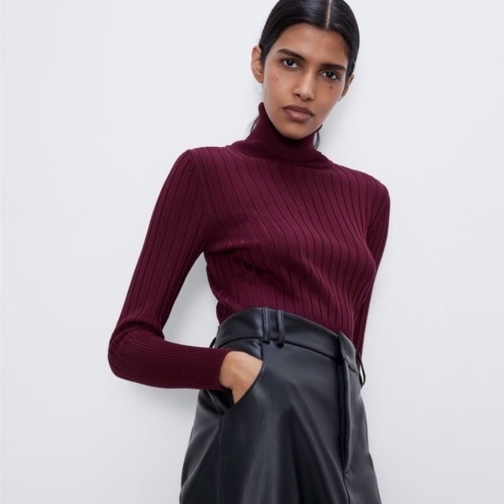 NWOT ZARA Ribbed Knit Turtleneck